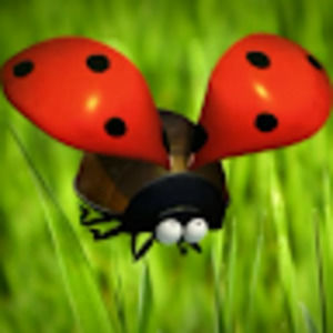 Meet your Posher, Huan